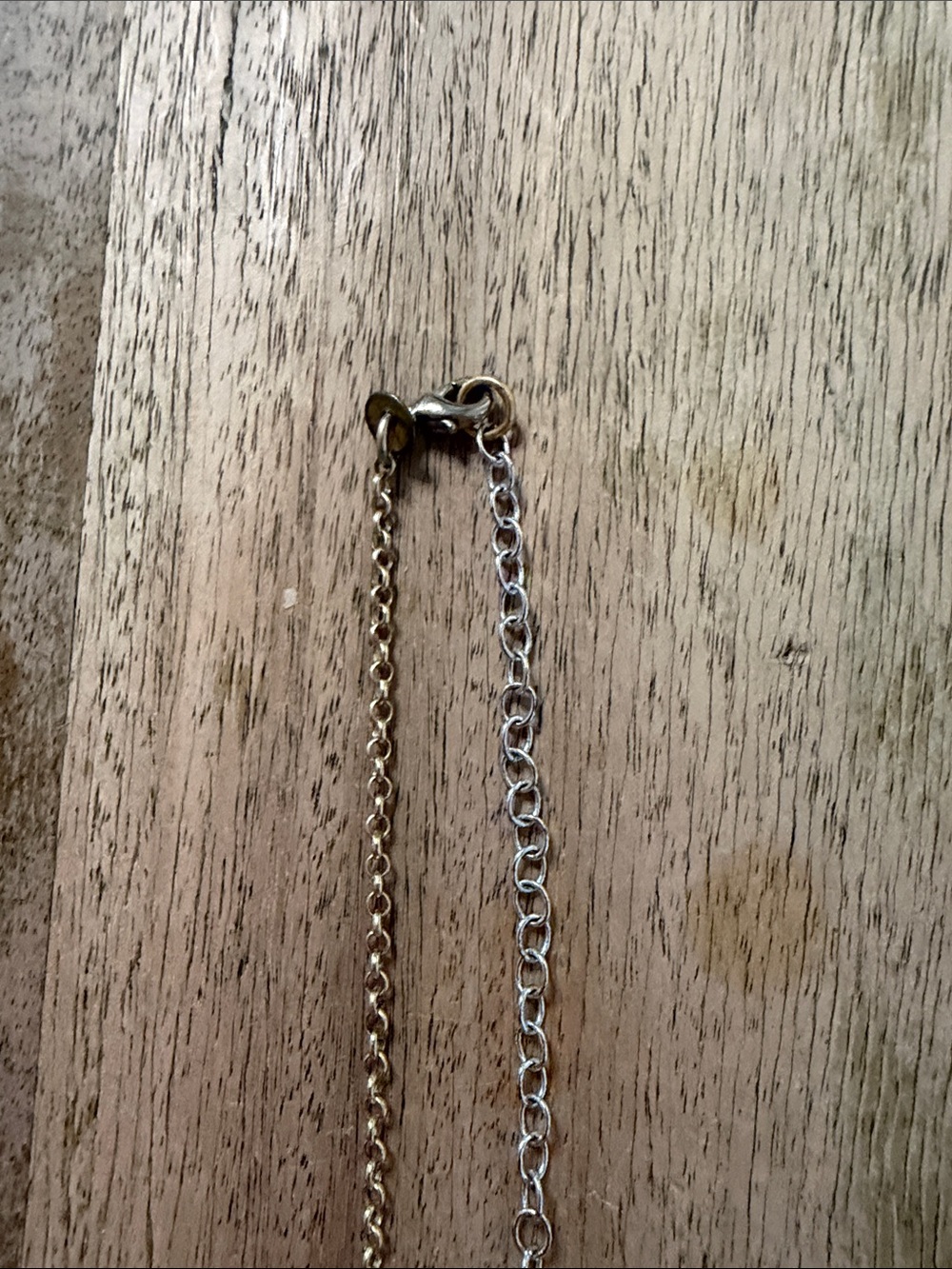 Gold Chain Necklace with White Spiral Shell Pendant - Picture 3 of 4